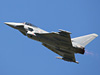 Welser Flugtage 2010