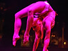 Zirkus Roncalli in Linz
