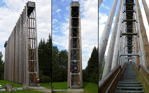 Himmelsleiter Himmelsleiter im Schremser Hochmoor