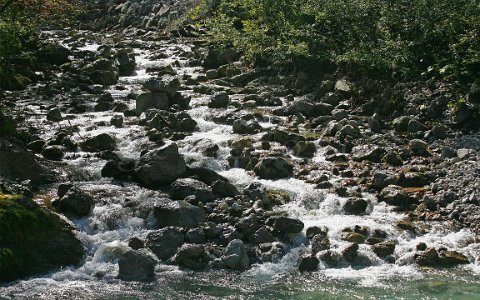 Bachmündung in die Erlauf