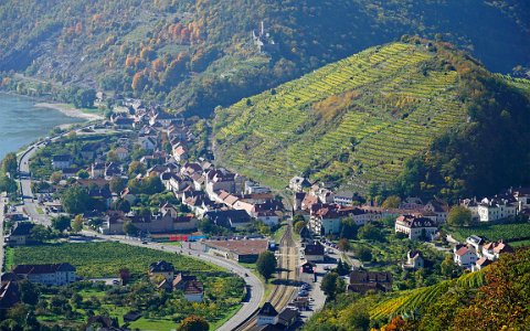 Tausendeimerberg und Ruine Hinterhaus, in Spitz an der Donau.