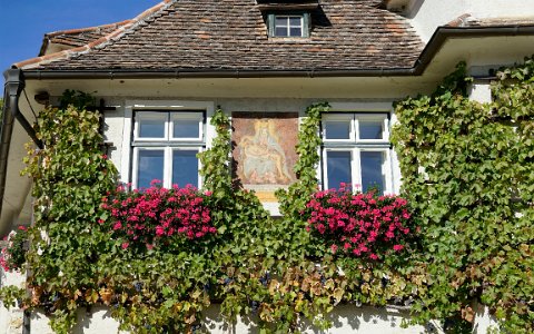 Weingut Hirtzberger in Spitz an der Donau.