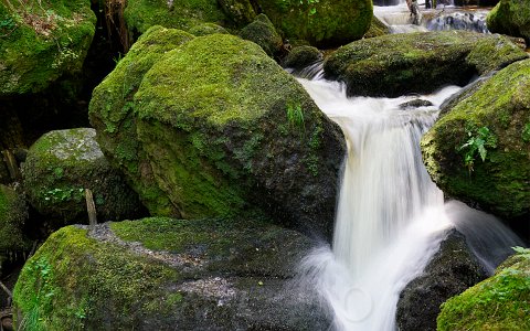 Ysperklamm wildes Wasser, wilder Wald. Wanderung am Druidenweg.