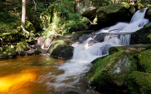 Ysperklamm wildes Wasser, wilder Wald. Wanderung am Druidenweg.