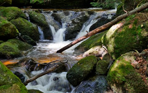 Ysperklamm wildes Wasser, wilder Wald. Wanderung am Druidenweg.