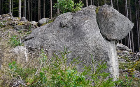 Ysperklamm wildes Wasser, wilder Wald. Wanderung am Druidenweg. Hund