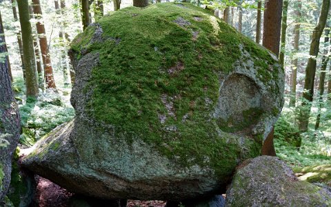 Ysperklamm wildes Wasser, wilder Wald. Wanderung am Druidenweg. Stehende Schale.