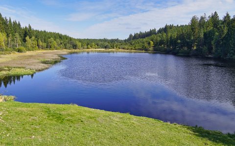 Rubener Teich Tanner Moor