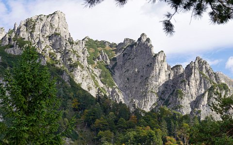 Schneiderberg am Almsee