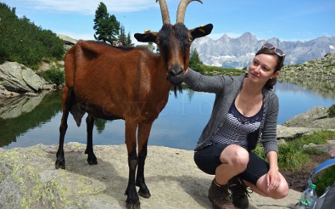 Reiteralm Rundweg Spiegelseebesucher