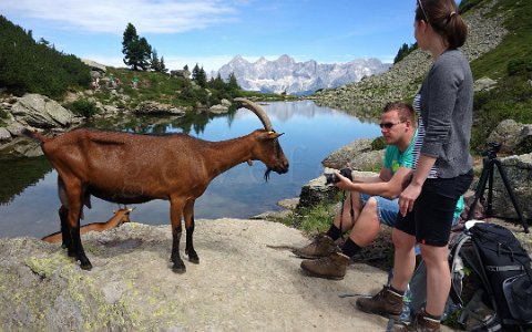 Reiteralm Rundweg Spiegelseebesucher