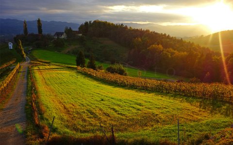 Südsteiermark Sonnenuntergang