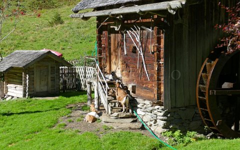 Ziegen bei der alten Mühle.