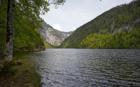 Toplitzsee Toplitzsee