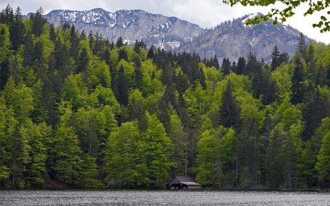 Toplitzsee Toplitzsee