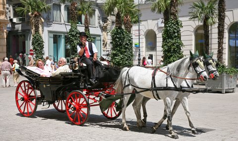 Fiaker in Wien am Graben.