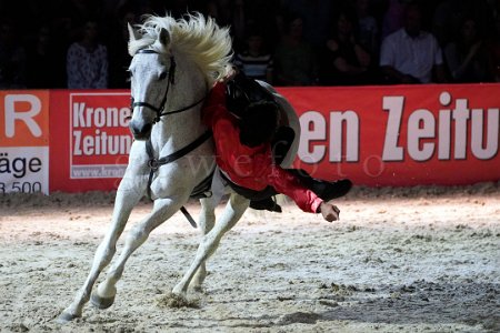 Nacht der Pferde 2018 Nacht der Pferde, ein Showabend der Messe Wels. "Trickriding Stunts" Team Clemens aus Holland.