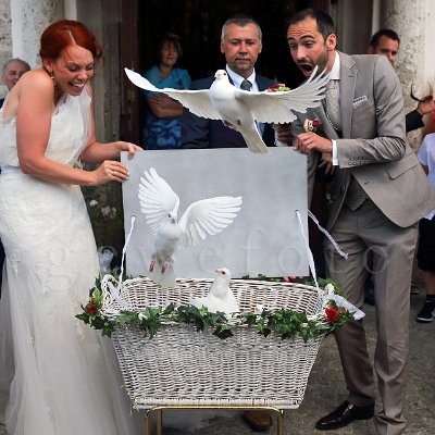 Tauben Überraschung zur Hochzeit