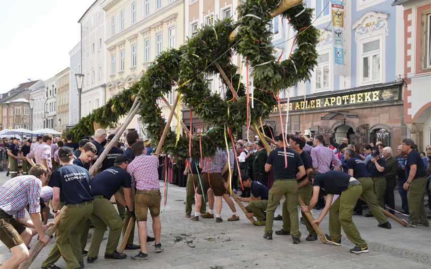 Maibaum Wels 2018